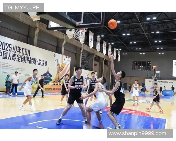 沈梓捷的篮球之路:从青涩少年到CBA明星的奋斗历程与成长故事